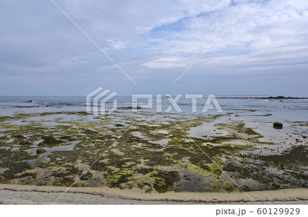 冬の海岸線 冬の海岸線 60129929