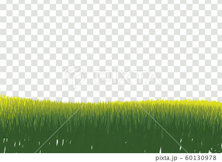 Green Grass Border, Isolated on Transparent 60130978