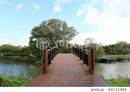 道の駅てんのう、天王グリーンランド「鞍掛の橋」 道の駅てんのう、天王グリーンランド「鞍掛の橋」 60131966