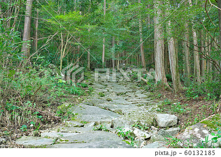 【熊野古道 馬越峠】 三重県北牟婁郡紀北町相賀 【熊野古道 馬越峠】 三重県北牟婁郡紀北町相賀 60132185