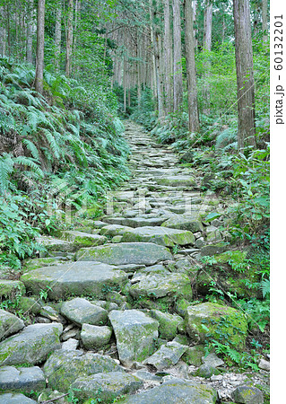 【熊野古道 馬越峠】 三重県北牟婁郡紀北町相賀 【熊野古道 馬越峠】 三重県北牟婁郡紀北町相賀 60132201
