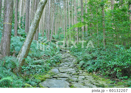 【熊野古道 馬越峠】 三重県北牟婁郡紀北町相賀 60132207