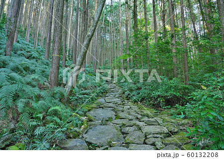 【熊野古道 馬越峠】 三重県北牟婁郡紀北町相賀 60132208