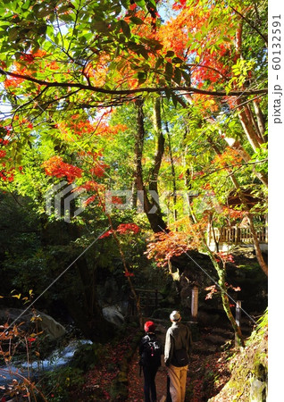 湯河原の町並み 万葉公園散策路と紅葉の写真素材