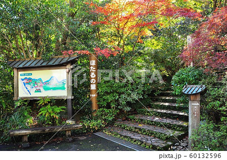 湯河原の町並み　万葉公園観光会館前入口 60132596