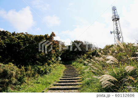 入道崎海底透視船乗り場から駐車場へ向かう小路 60132606