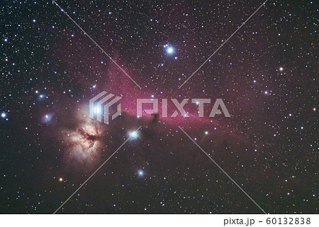 馬頭星雲 60132838