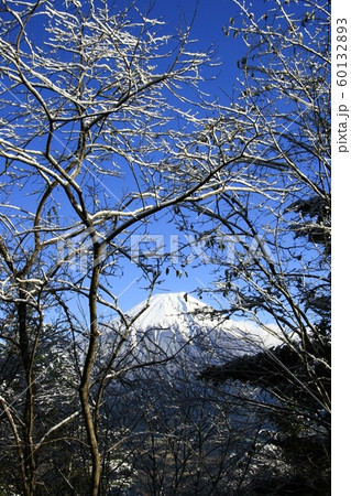雪花 雪花 60132893