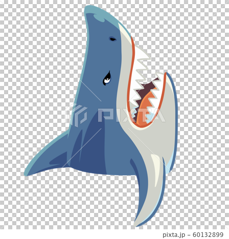 鯊魚圖向上 鯊魚圖向上 60132899
