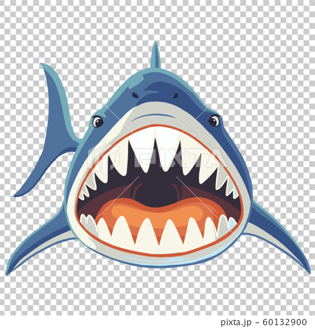 サメの正面イラスト のイラスト素材