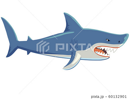 サメの全身イラスト 横のイラスト素材 60132901 Pixta