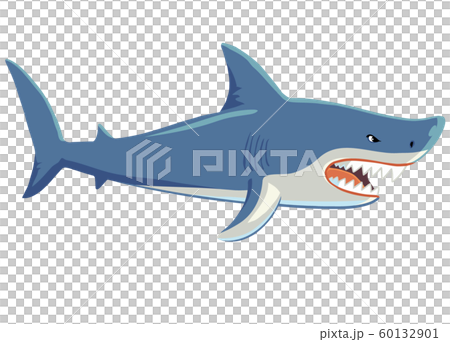 サメの全身イラスト 横のイラスト素材