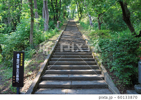 大光山聖壽寺、南部家墓所へ至る石段 60133870