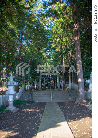 北野天神社　参道　所沢市 60133875