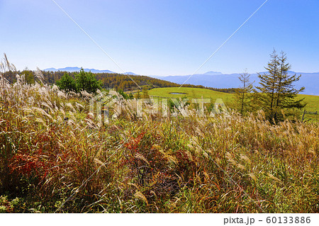 【長野県】秋の高ボッチ高原牧場 60133886