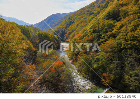 【山梨県】紅葉の西沢渓谷 【山梨県】紅葉の西沢渓谷 60133940
