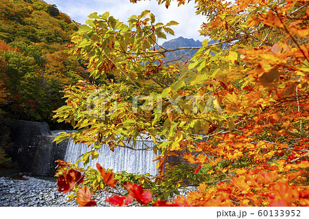 【山梨県】二俣吊り橋から見る紅葉の西沢渓谷 【山梨県】二俣吊り橋から見る紅葉の西沢渓谷 60133952