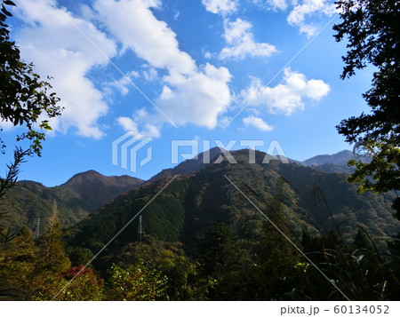 箱根の山を歩いている途中　青空　夏　山　木々　明るい自然 60134052