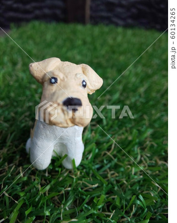 ワイヤーフォックステリア 60134265