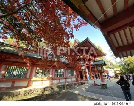 秋の神社 60134269