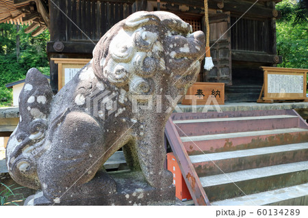 大光山聖壽寺、千体地蔵堂の狛犬 60134289