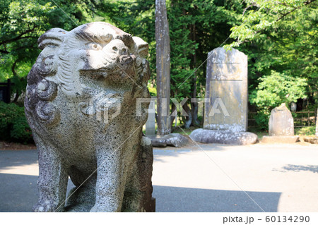 大光山聖壽寺、千体地蔵堂の狛犬 60134290