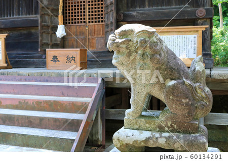 大光山聖壽寺、千体地蔵堂の狛犬 大光山聖壽寺、千体地蔵堂の狛犬 60134291