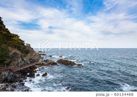 海 空 風景 60134466