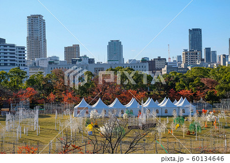大阪　秋の風景 60134646