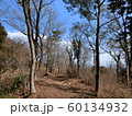 神奈川県真鶴　城山ハイキングコース　秋 60134932