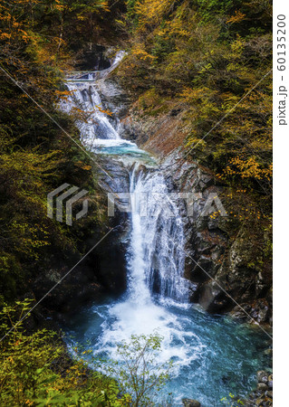 【山梨県】紅葉の西沢渓谷　七ツ釜五段の滝 60135200