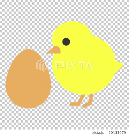 Chick, egg, illustration, bird, leap year 60135979