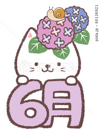 白ネコ6月 60136921