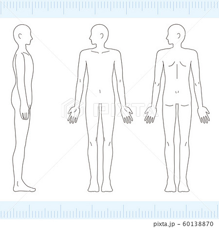 男性　メディカル　美容　裸　ヌード　全身　正面・背面・側面 60138870