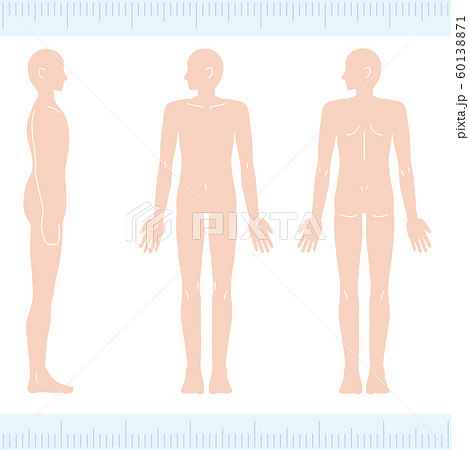 男性 メディカル 美容 裸 ヌード 全身 正面・背面・側面 男性 メディカル 美容 裸 ヌード 全身 正面・背面・側面 60138871