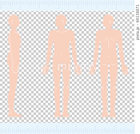 男性 メディカル 美容 裸 ヌード 全身 正面・背面・側面 男性 メディカル 美容 裸 ヌード 全身 正面・背面・側面 60138871