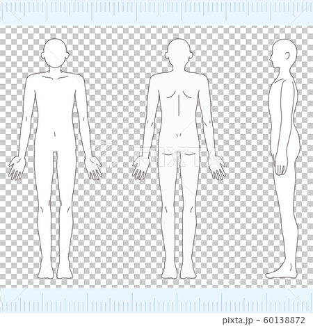 男性 メディカル 美容 裸 ヌード 全身 正面・背面・側面 男性 メディカル 美容 裸 ヌード 全身 正面・背面・側面 60138872