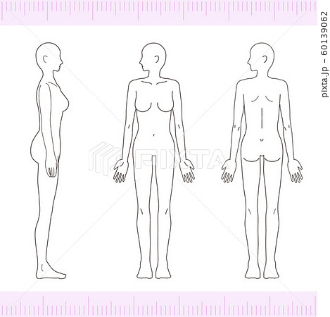 女性 メディカル 美容 裸 ヌード 全身 正面 背面 側面のイラスト素材