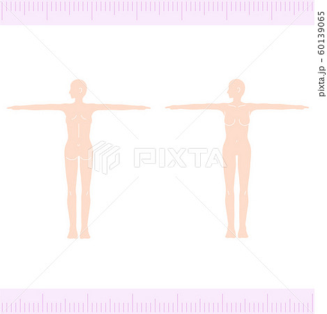 女性 メディカル 美容 裸 ヌード 全身 正面 背面 横向きのイラスト素材