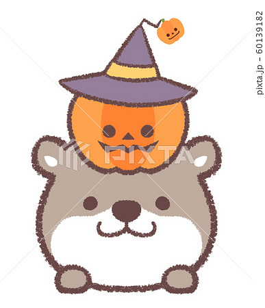 カワウソ10月ハロウィン カボチャと帽子のイラスト素材