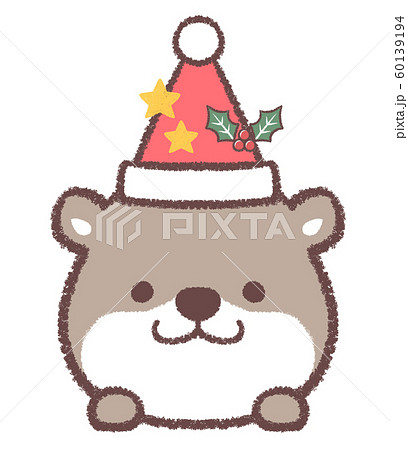 カワウソ12月クリスマス帽子と星とヒイラギのイラスト素材
