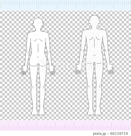 男性/女性醫學美容裸體裸體全身背部 60139719