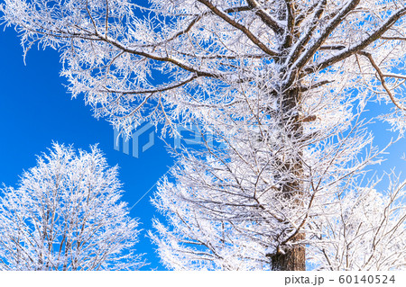 霧氷・白銀の森 60140524