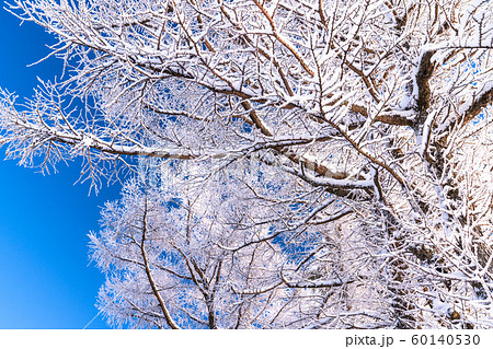 霧氷・白銀の森 60140530