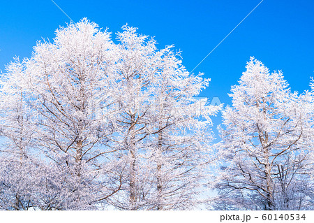 霧氷・白銀の森 60140534