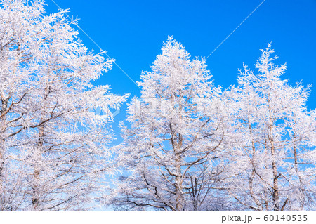 霧氷・白銀の森 60140535