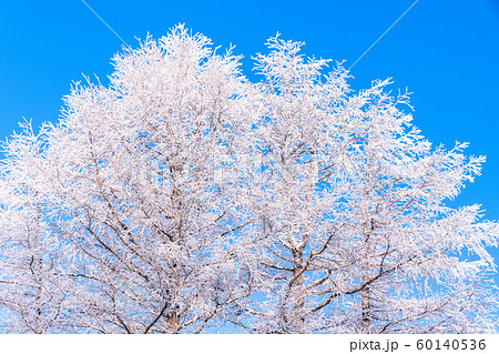 霧氷・白銀の森 60140536