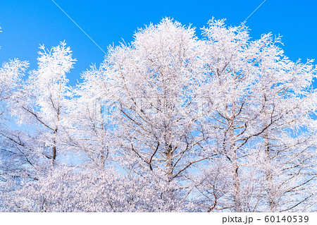 霧氷・白銀の森 60140539