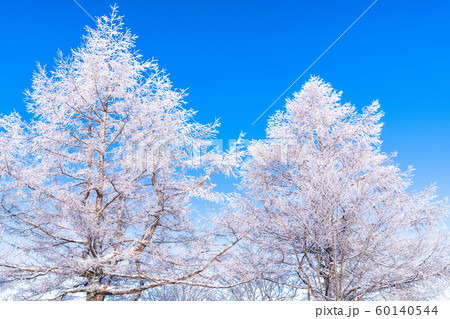 霧氷・白銀の森 60140544