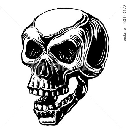 Human skull. Vector black and white illustration isolated on white background Human skull. Vector black and white illustration isolated on white background 60143172